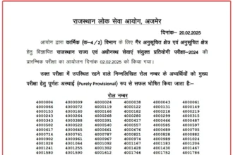 Cut Off Marks of RPSC RAS Result 2024 2025