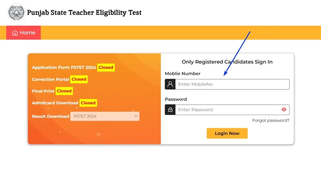 Steps to Check or Download PSTET Results in 2025