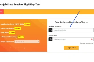 Steps to Check or Download PSTET Results in 2025