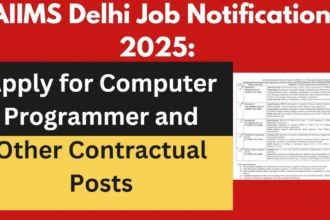 AIIMS Delhi Job Notification 2025 Computer Programmer and Other Contractual Posts